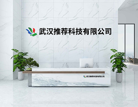 武汉推荐科技，你所不知道的一家软件开发公司